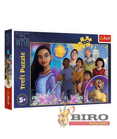 TF Puzzle 100 - Wish / Disney Wish